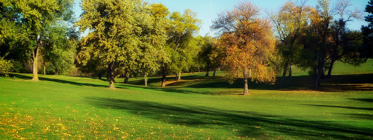 Park keverék